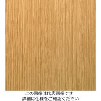 スリーエム ジャパン 3M ダイノックフィルム WGー2115 1220mmX50m WG2115 1巻 103-9247（直送品）