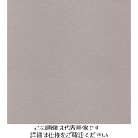 スリーエム ジャパン 3M ダイノックフィルム PAー038 1220mmX50m PA038 1巻 104-9988（直送品）