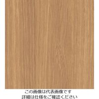 スリーエム ジャパン 3M ダイノックフィルム FWー1122 1220mmX50m FW1122 1巻 104-9956（直送品）