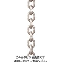 象印チエンブロック 象印 チェーンスリング用チェーン・20mm×1m C10-20 1本 134-7510（直送品）