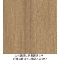 スリーエム ジャパン 3M ダイノックフィルム FWー1273 1220mmX50m FW1273 1巻 104-5222（直送品）