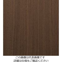 スリーエム ジャパン 3M ダイノックフィルム WGー1373 1220mmX50m WG1373 1巻 103-9187（直送品）