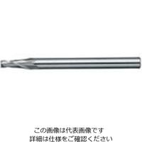 日進工具 NS テーパーEM Φ0.8X30’ NTE-2 0.8X30 1個 729-7939（直送品）