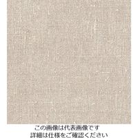 スリーエム ジャパン 3M ダイノックフィルム NUー1238 1220mmX50m NU1238 1巻 103-2618（直送品）