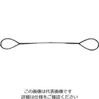 日興製綱 ニッコウ 台付けワイヤー スリング径6mm 全長5m D6-5 1セット（20本） 815-7627（直送品）