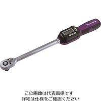 東日製作所 増し締め検査用デジタルトルクレンチ CTB100N2X15D 1台（直送品） - アスクル