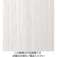 スリーエム ジャパン 3M ダイノックフィルム FWー1683 1220mmX50m FW1683 1巻 103-2702（直送品）