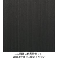 スリーエム ジャパン 3M ダイノックフィルム WGー2041 1220mmX50m WG2041 1巻 104-7090（直送品）