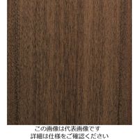 スリーエム ジャパン 3M ダイノックフィルム FWー650 1220mmX50m FW650 1巻 102-9491（直送品）