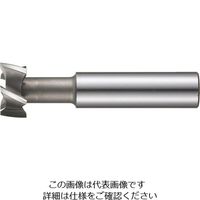 フクダ精工 FKD Tスロットエンドミル19×6 TSE-19X6 1本 810-3600（直送品）