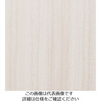 スリーエム ジャパン 3M ダイノックフィルム FWー1208 1220mmX50m FW1208 1巻 104-8360（直送品）