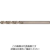 日進工具 NS アルミ専用エンドミル（DLCコーティング、4倍刃長タイプ） AL4D-2DLC-6 1本 148-2867（直送品） - アスクル