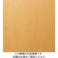 スリーエム ジャパン 3M ダイノックフィルム WGー2839 1220mmX50m WG2839 1巻 104-0827（直送品）