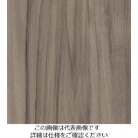 スリーエム ジャパン 3M ダイノックフィルム WGー1336 1220mmX50m WG1336 1巻 104-2312（直送品）