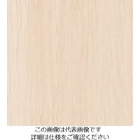 スリーエム ジャパン 3M ダイノックフィルム FWー1255 1220mmX50m FW1255 1巻 103-5774（直送品）