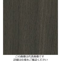 スリーエム ジャパン 3M ダイノックフィルム FWー1127 1220mmX50m FW1127 1巻 104-6739（直送品）