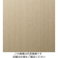 スリーエム ジャパン 3M ダイノックフィルム MEー1223 1220mmX50m ME1223 1巻 103-1095（直送品）