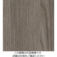 スリーエム ジャパン 3M ダイノックフィルム FWー1259 1220mmX50m FW1259 1巻 103-4265（直送品）