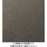 スリーエム ジャパン 3M ダイノックフィルム LEー1108 1220mmX50m LE1108 1巻 102-9430（直送品）
