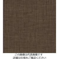 スリーエム ジャパン 3M ダイノックフィルム FAー1156 1220mmX50m FA1156 1巻 103-1073（直送品）