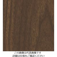 スリーエム ジャパン 3M ダイノックフィルム FWー651 1220mmX50m FW651 1巻 103-4217（直送品）