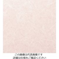 スリーエム ジャパン 3M ダイノックフィルム PTー345 1220mmX50m PT345 1巻 102-9482（直送品）