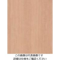 スリーエム ジャパン 3M ダイノックフィルム WGー1143 1220mmX50m WG1143 1巻 104-2388（直送品）