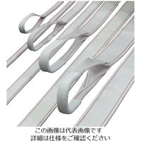 明大 ロックスリング PP 75mm×2.0m P-1 75X2.0 1本 851-8142（直送品）