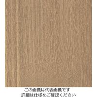 スリーエム ジャパン 3M ダイノックフィルム FWー1755 1220mmX50m FW1755 1巻 103-4259（直送品）