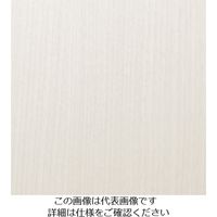 スリーエム ジャパン 3M ダイノックフィルム WGー1846 1220mmX50m WG1846 1巻 104-7121（直送品）