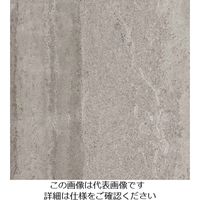 スリーエム ジャパン 3M ダイノックフィルム CNー1622 1220mmX50m CN1622 1巻 104-5244（直送品）