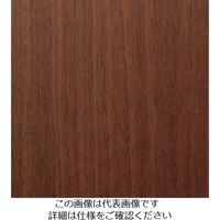 スリーエム ジャパン 3M ダイノックフィルム FWー510 1220mmX50m FW510 1巻 103-1051（直送品）