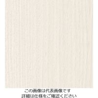 スリーエム ジャパン 3M ダイノックフィルム FWー7017 1220mmX50m FW7017 1巻 103-1090（直送品）