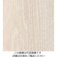 スリーエム ジャパン 3M ダイノックフィルム FWー1765 1220mmX50m FW1765 1巻 104-6790（直送品）