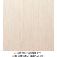 スリーエム ジャパン 3M ダイノックフィルム WGー2049 1220mmX50m WG2049 1巻 104-2382（直送品）