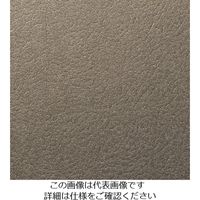 スリーエム ジャパン 3M ダイノックフィルム LEー1109 1220mmX50m LE1109 1巻 103-4195（直送品）