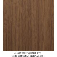 スリーエム ジャパン 3M ダイノックフィルム FWー613 1220mmX50m FW613 1巻 103-5770（直送品）