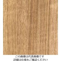 スリーエム ジャパン 3M ダイノックフィルム FWー1296 1220mmX50m FW1296 1巻 103-4254（直送品）