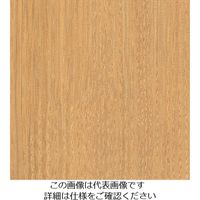 スリーエム ジャパン 3M ダイノックフィルム FWー1810 1220mmX50m FW1810 1巻 104-8389（直送品）