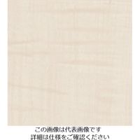 スリーエム ジャパン 3M ダイノックフィルム WGー1711GN 1220mmX25m WG1711GN 1巻 104-7086（直送品）