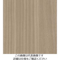 スリーエム ジャパン 3M ダイノックフィルム WGー1703 1220mmX50m WG1703 1巻 103-9182（直送品）