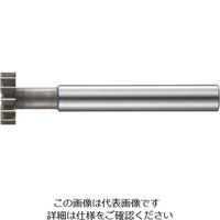 フクダ精工 FKD ロングシャンクTスロットカッター45×4 LS-TC-45X4 1本 810-2470（直送品）