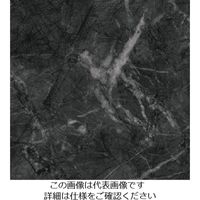 スリーエム ジャパン 3M ダイノックフィルム STー1587 1220mmX50m ST1587 1巻 103-2681（直送品）