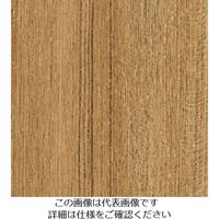 スリーエム ジャパン 3M ダイノックフィルム FWー1272 1220mmX50m FW1272 1巻 104-9990（直送品）