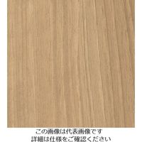 スリーエム ジャパン 3M ダイノックフィルム WGー1837 1220mmX50m WG1837 1巻 104-7068（直送品）