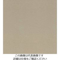 スリーエム ジャパン 3M ダイノックフィルム PAー039 1220mmX50m PA039 1巻 104-8312（直送品）