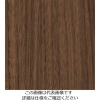 スリーエム ジャパン 3M ダイノックフィルム WGー1841 1220mmX50m WG1841 1巻 104-3963（直送品）