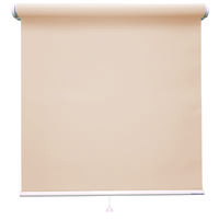 立川機工 ロールスクリーン 無地 TR-1007 115×220cm シャンパン 1台（直送品）