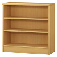 m Shelfit G[XbN 700×s250×700mm X^_[hi` AR7070SR(NA) 1iij