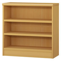 大洋 Shelfit エースラックタフ 幅700×奥行310×高さ700mm スタンダードナチュラル ARタフ7070R(NA) 1台（直送品）